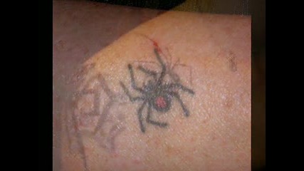 Spider Tattoos Grove_st