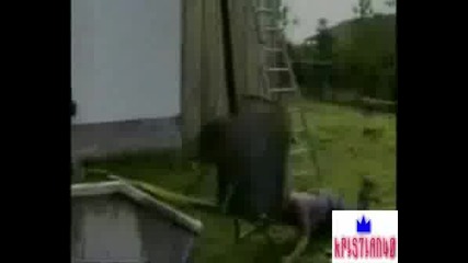 Top 10 Stupid People.flv