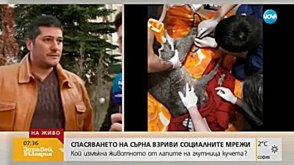 Кой е мъжът спасил сърничка от глутница кучета в София?