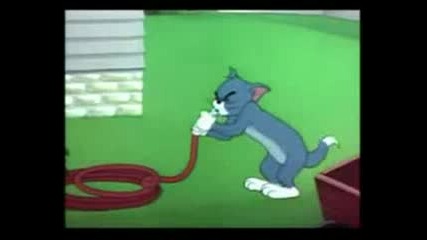 Tom And Jerry Parody