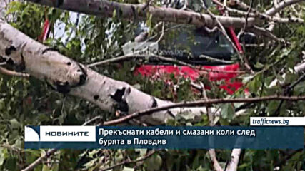 Прекъснати кабели и смазани коли след бурята в Пловдив