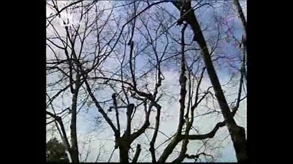 Yaprak Dokumu (листопад) - 51 епизод / 1 част