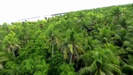Bliss ❤❤ Arapapa