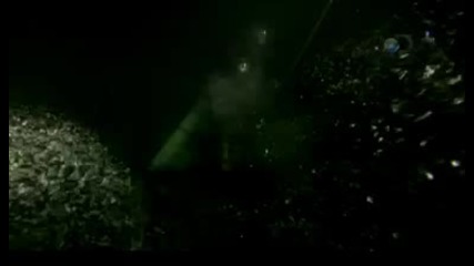 Shark After Dark - Sharks