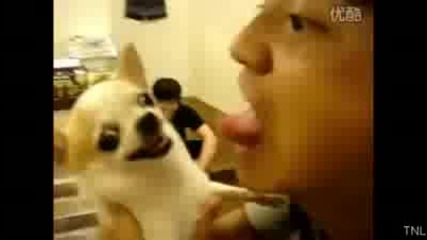 Fail Compilation February 2011