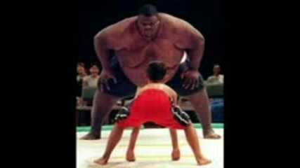 Funny Pics