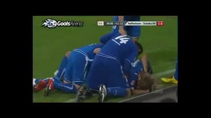 10.9.2010 Хофенхайм - Шалке 04 2 - 0 Бундеслига