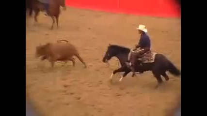 Ncha Cutting Horse - Music Video
