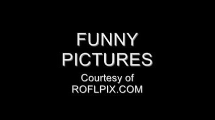 funny picture Compilation by roflpix.com 