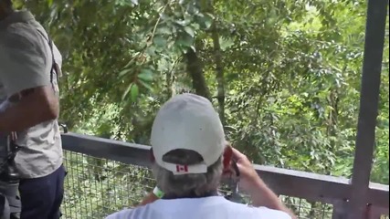 (hd 1080p) Lambada Panama Great Adventure - Part 1