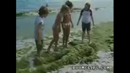 Чудовище от водорасли плаши деца