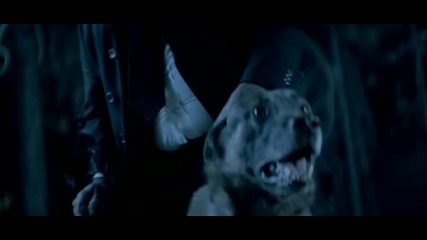 Beyonce - Halo ( 2 version )