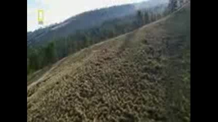 living.on.mars.xvid - sometv 