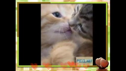 Manyg & Gadnia Ft. Doroteq - Love U