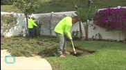 Californians Urged to Rip Out Their Lawns: 'This is About the Future We Need'