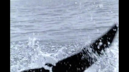 Madonna-cherish