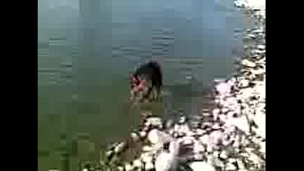 Видео001.3gp