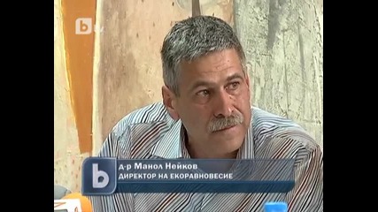 400 бездомни кучета са били заловени през април в София