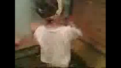 Meri