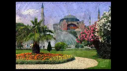 Husnu Senlendirici - Aci Hayat Solo