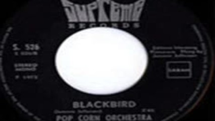 The Foggy Joe Band--black Bird 1973