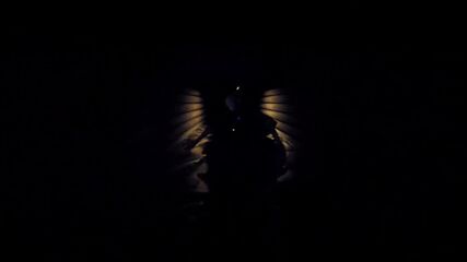 Imago: Beyond the Nightmares