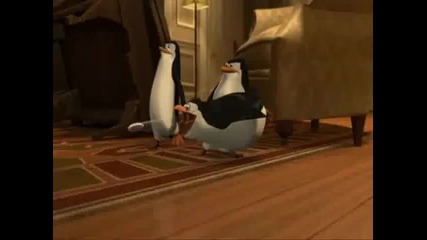 The Madagascar Penguins