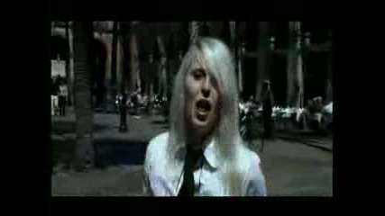 Amanda Jenssen - Amarula Tree (Official Video)