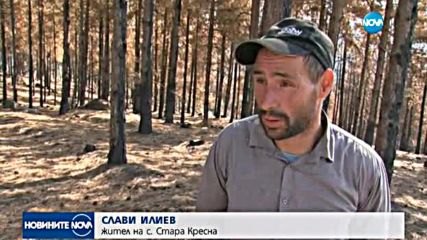 Започна разчистването на овъглената гора над Кресненското дефиле