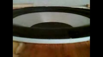 bass marti