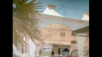 Beach Bar L U X U R Y Sunny Beach 