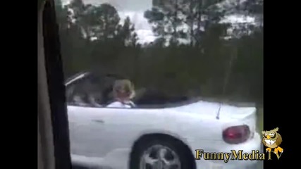 The Ultimate Fail,win and Funny Pranks Mega Compilation 2013 Part 83
