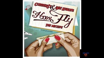 How Fly - The Check Point