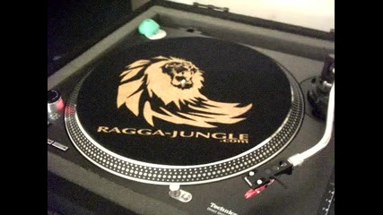 R Cola feat. Barrington Levy - Lost and found