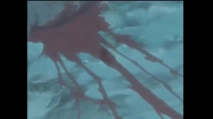 Wolf's Rain - Sleeping Sun
