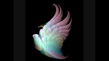 Dj Cookie - Fly On The Wings Of Love