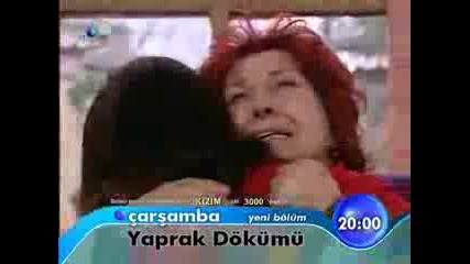 Yaprak Dokumu