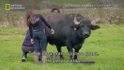 Фортуна | Гордън Рамзи: Кулинарният изследовател – големият сблъсък | National Geographic Bulgaria