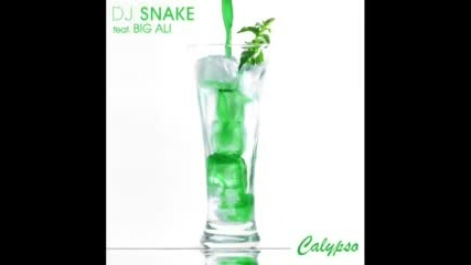 Dj Snake Feat. Big Ali - Calypso 