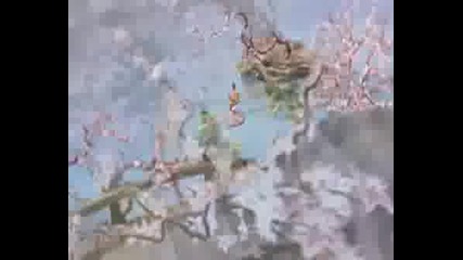 The Fly