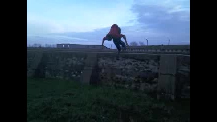 Gainer