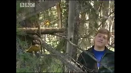 Squirrel Trap & Hobo - Fishing - Ray Mears Extreme Survival - Bbc
