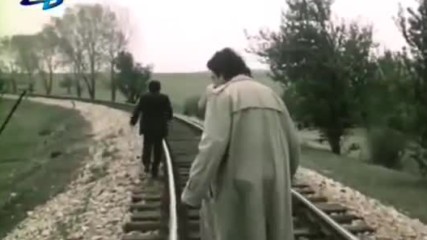 Зелените поля, 1984 г.