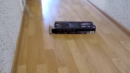 Коте си играе с кутия-смях