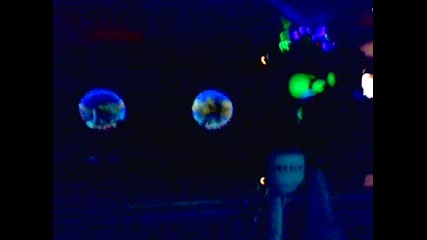 dj slim live@club oceanic 