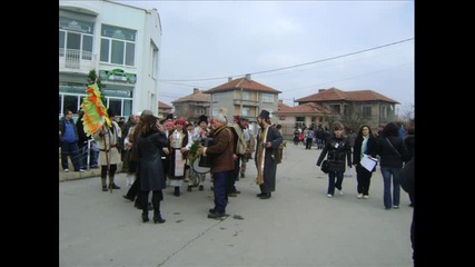 Сопица в Раковски 2011 г. 