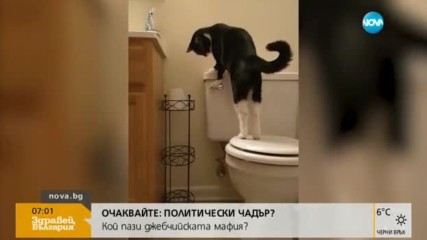 Може ли котката да пусне казанчето в тоалетната?