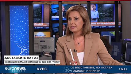 Добри Митрев, БСК: Бизнесът иска ниски цени и предвидимост на доставките на газ
