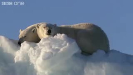 Hd Арктика се стопява времето изтича