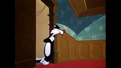 Sylvester - Kit For Cat 